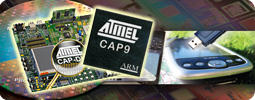 Микроконтроллеры AT91CAP