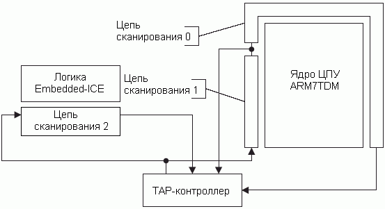 Архитектура цепей сканирования ядра ARM7TDMI