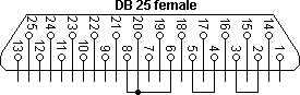 DB 25 мама