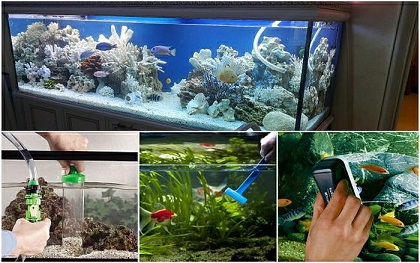 обслуживание аквариумов