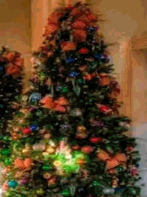 ��� ������ ������������� ����